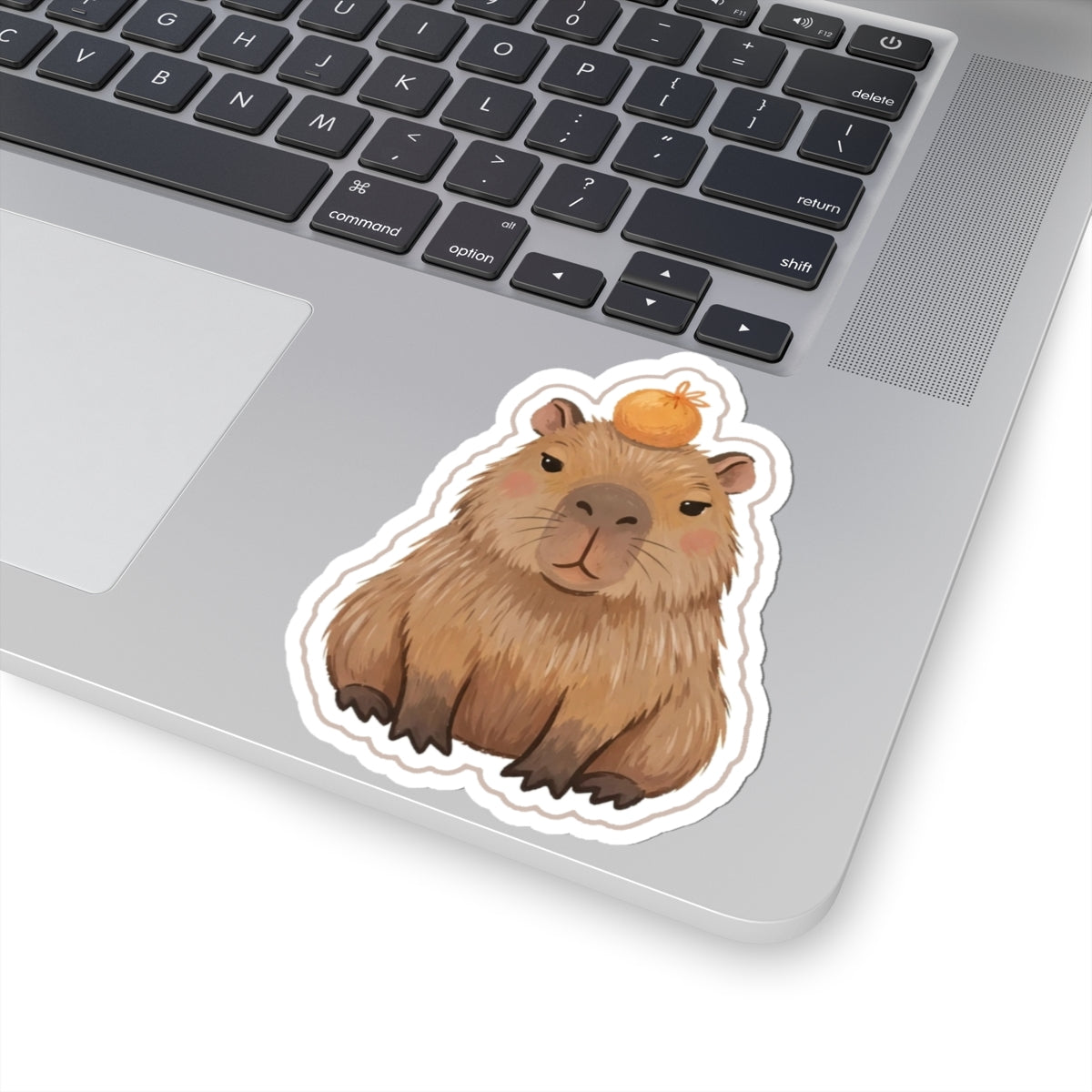 Capybara Kiss-Cut Sticker