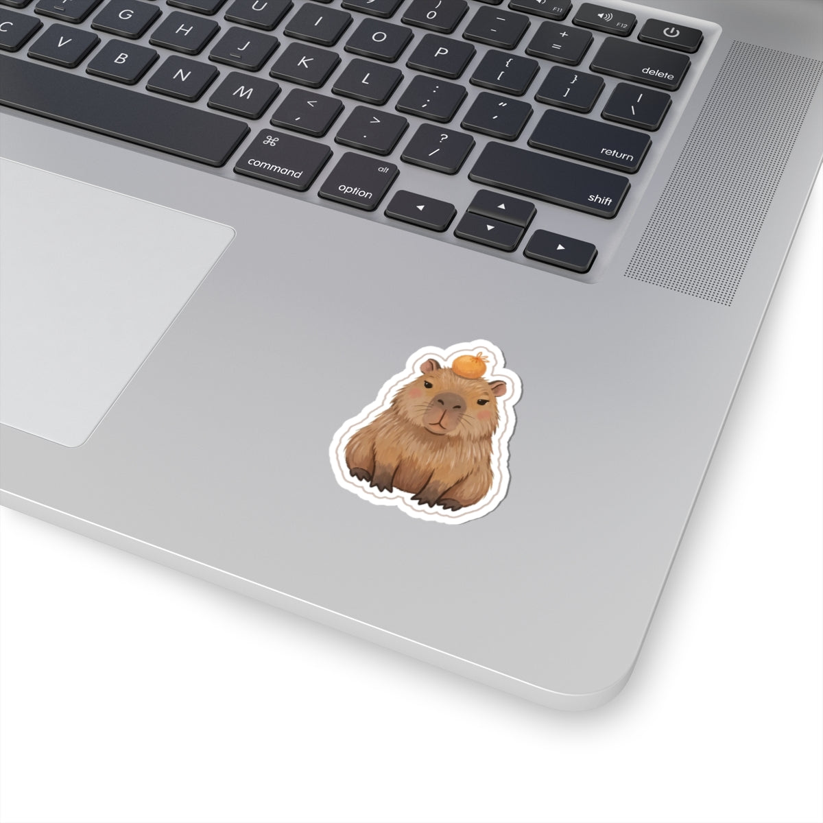 Capybara Kiss-Cut Sticker